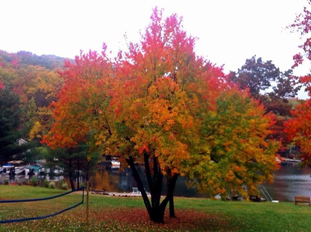 Lake Harmony Inn 외부 사진